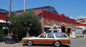 Oldsmobile Custom Cruiser